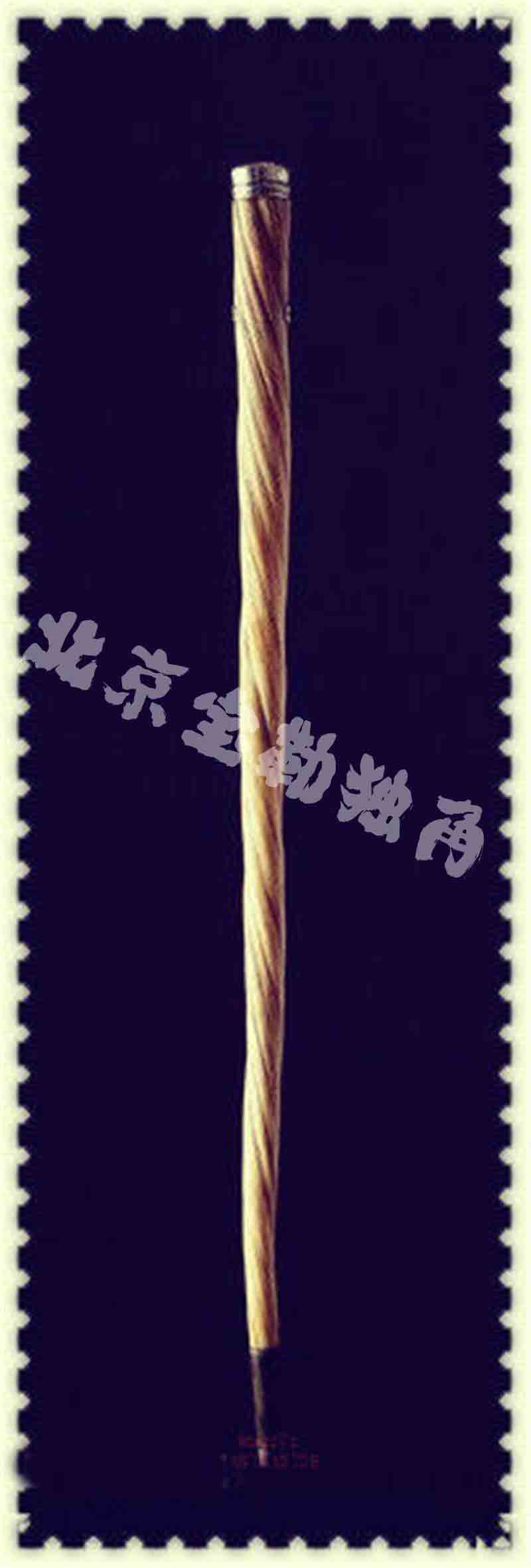 独角鲸牙价格