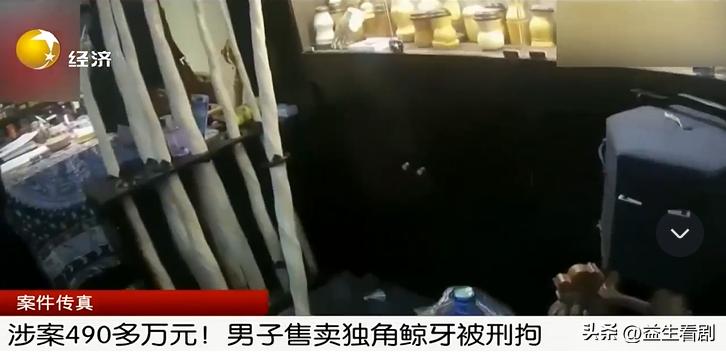 独角鲸牙