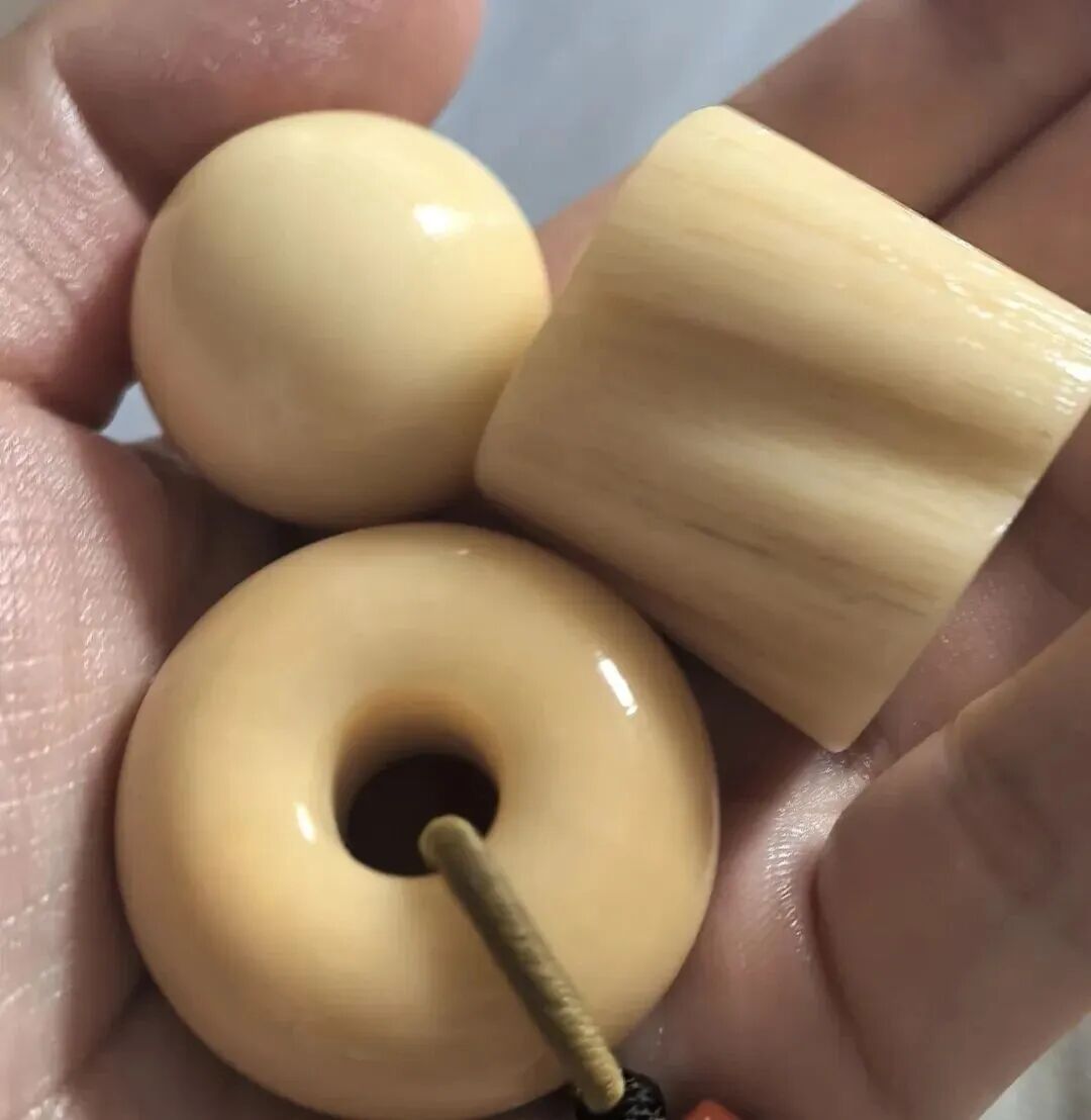 独角鲸牙饼子